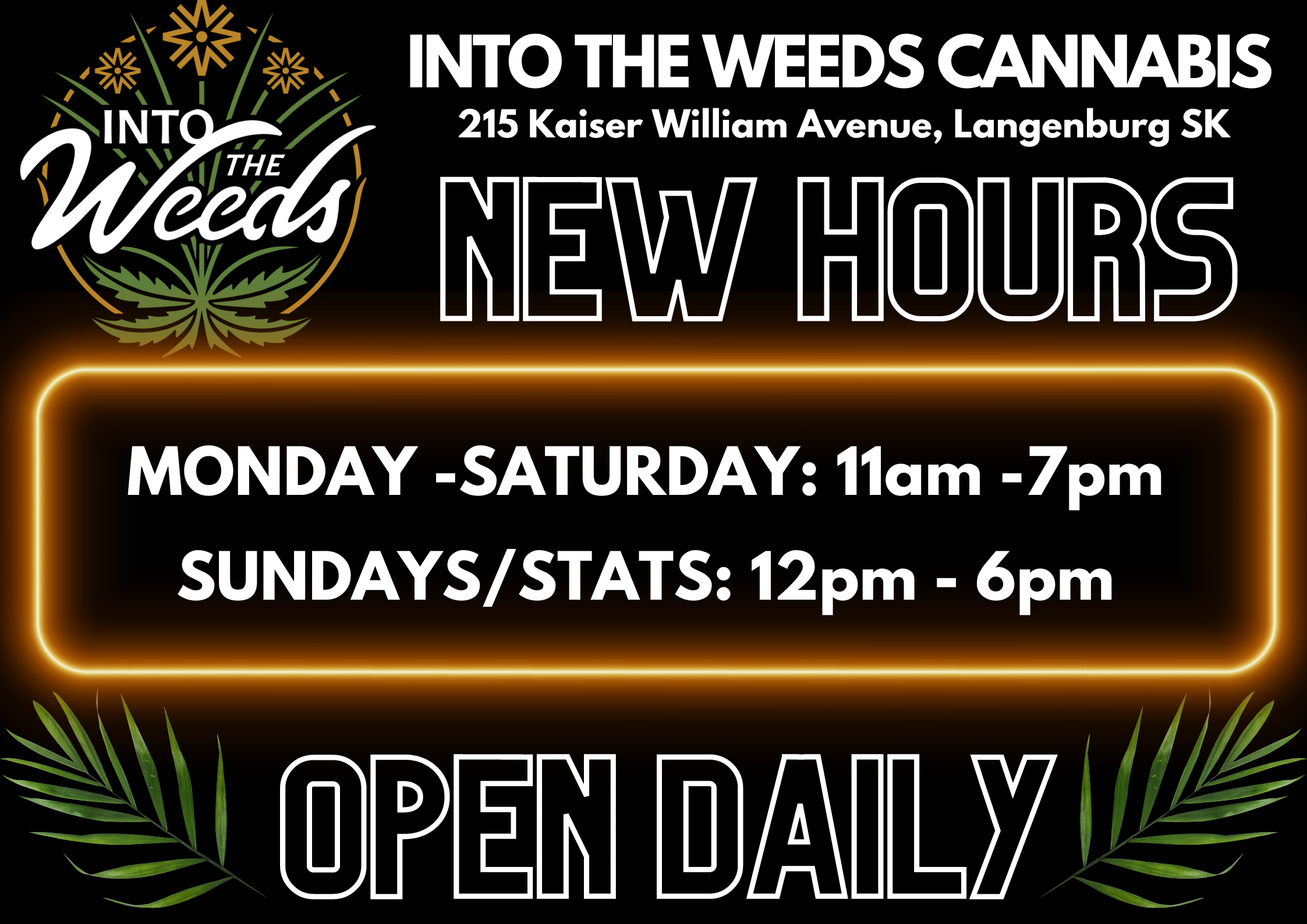 Into The Weeds Cannabis opened its doors in Langenburg this week on Tuesday, August 22nd. The company is located at 215 Kaiser William Avenue and is open daily from 11 A.M. - 7 P.M.